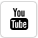 Youtube Icon